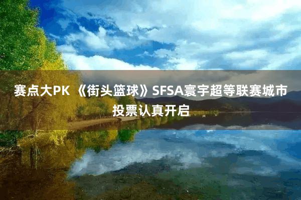 赛点大PK 《街头篮球》SFSA寰宇超等联赛城市投票认真开启