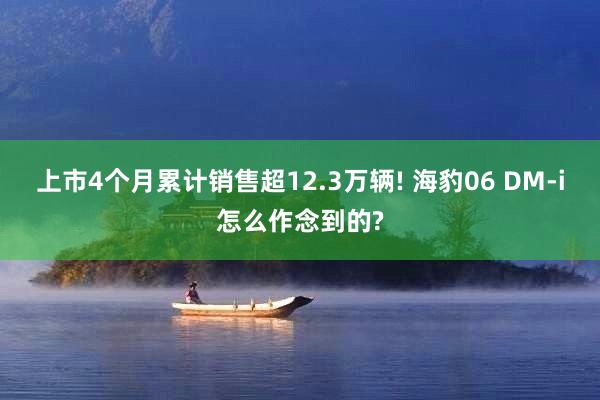 上市4个月累计销售超12.3万辆! 海豹06 DM-i怎么作念到的?