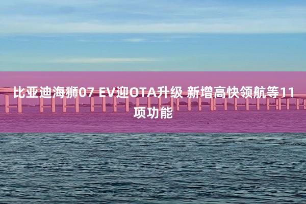 比亚迪海狮07 EV迎OTA升级 新增高快领航等11项功能