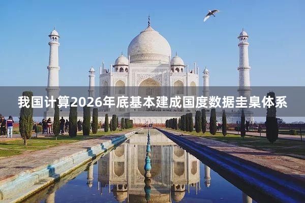 我国计算2026年底基本建成国度数据圭臬体系