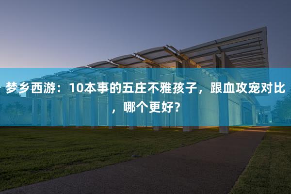 梦乡西游：10本事的五庄不雅孩子，跟血攻宠对比，哪个更好？