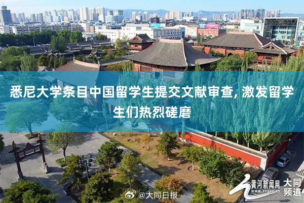 悉尼大学条目中国留学生提交文献审查, 激发留学生们热烈磋磨