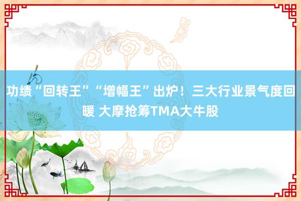 功绩“回转王”“增幅王”出炉！三大行业景气度回暖 大摩抢筹TMA大牛股