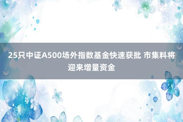 25只中证A500场外指数基金快速获批 市集料将迎来增量资金