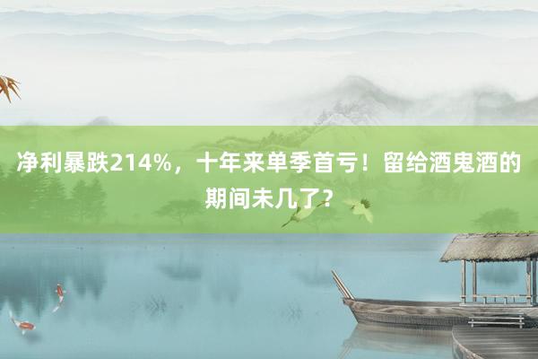 净利暴跌214%，十年来单季首亏！留给酒鬼酒的期间未几了？