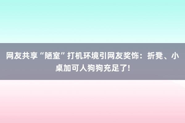 网友共享“陋室”打机环境引网友奖饰：折凳、小桌加可人狗狗充足了!