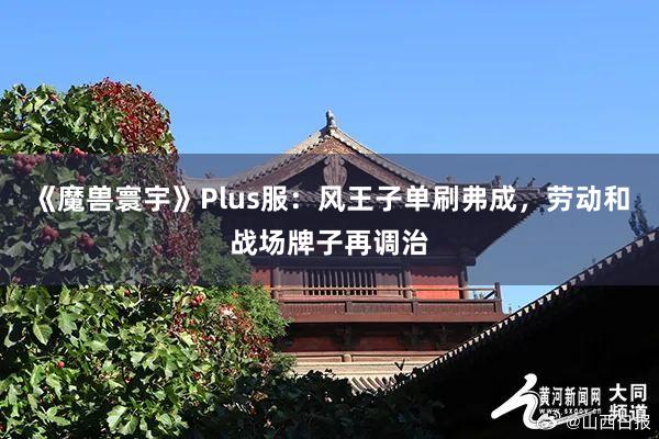 《魔兽寰宇》Plus服：风王子单刷弗成，劳动和战场牌子再调治